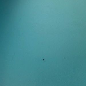 Meet your Posher, Milena